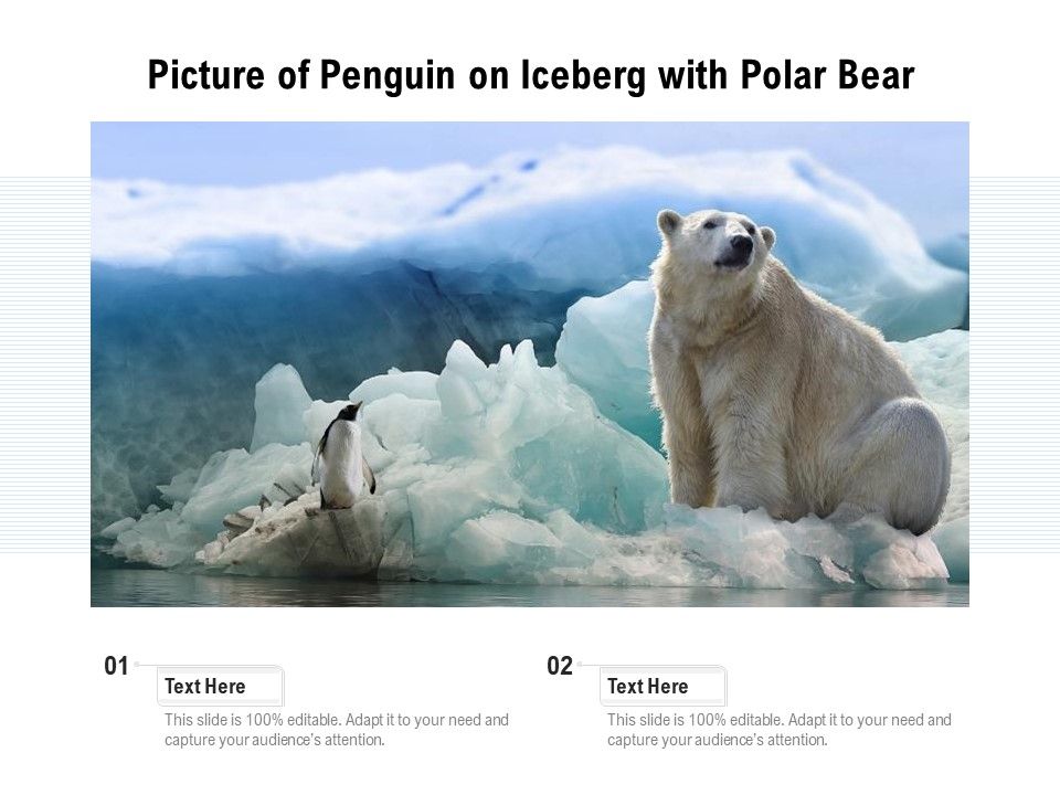 Picture_Of_Penguin_On_Iceberg_With_Polar_Bear_Ppt_PowerPoint_Presentation_File_Summary_PDF_Slide_1.jpg