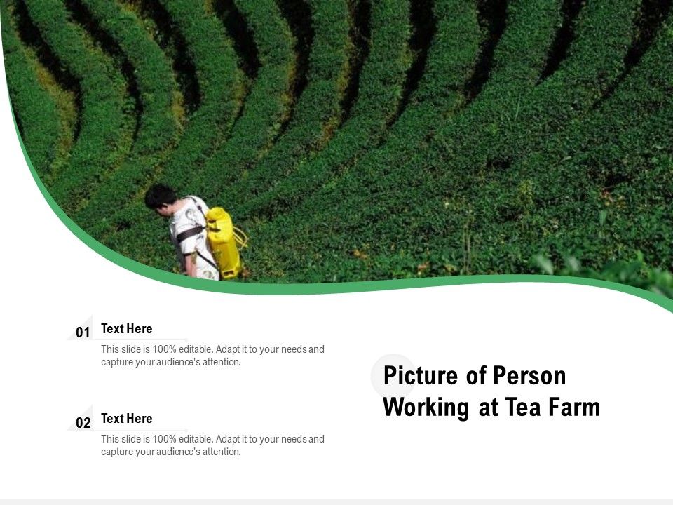 Picture_Of_Person_Working_At_Tea_Farm_Ppt_PowerPoint_Presentation_Gallery_Graphics_PDF_Slide_1.jpg