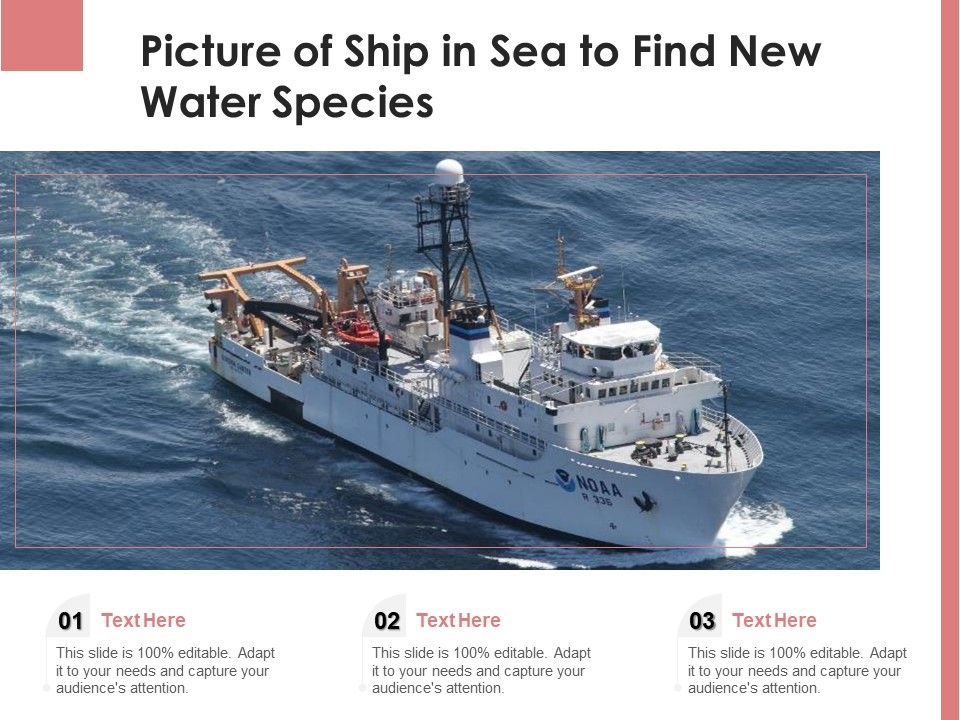 Picture_Of_Ship_In_Sea_To_Find_New_Water_Species_Ppt_PowerPoint_Presentation_File_Show_PDF_Slide_1.jpg