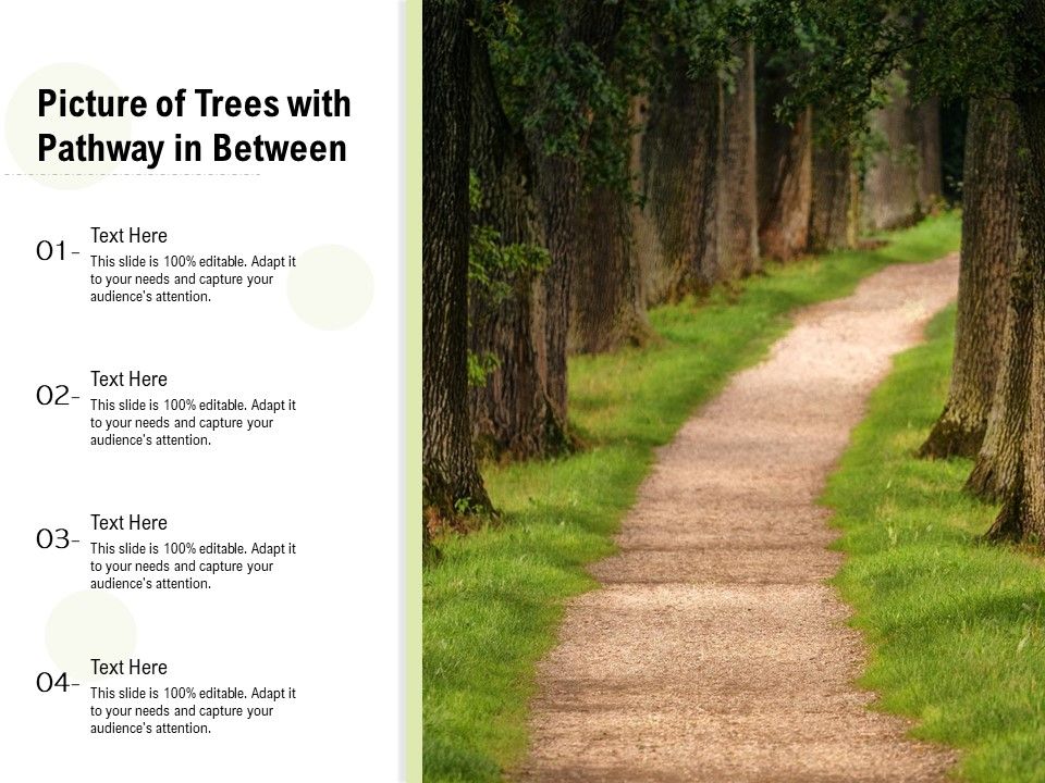 Picture_Of_Trees_With_Pathway_In_Between_Ppt_PowerPoint_Presentation_Infographic_Template_Layout_PDF_Slide_1.jpg