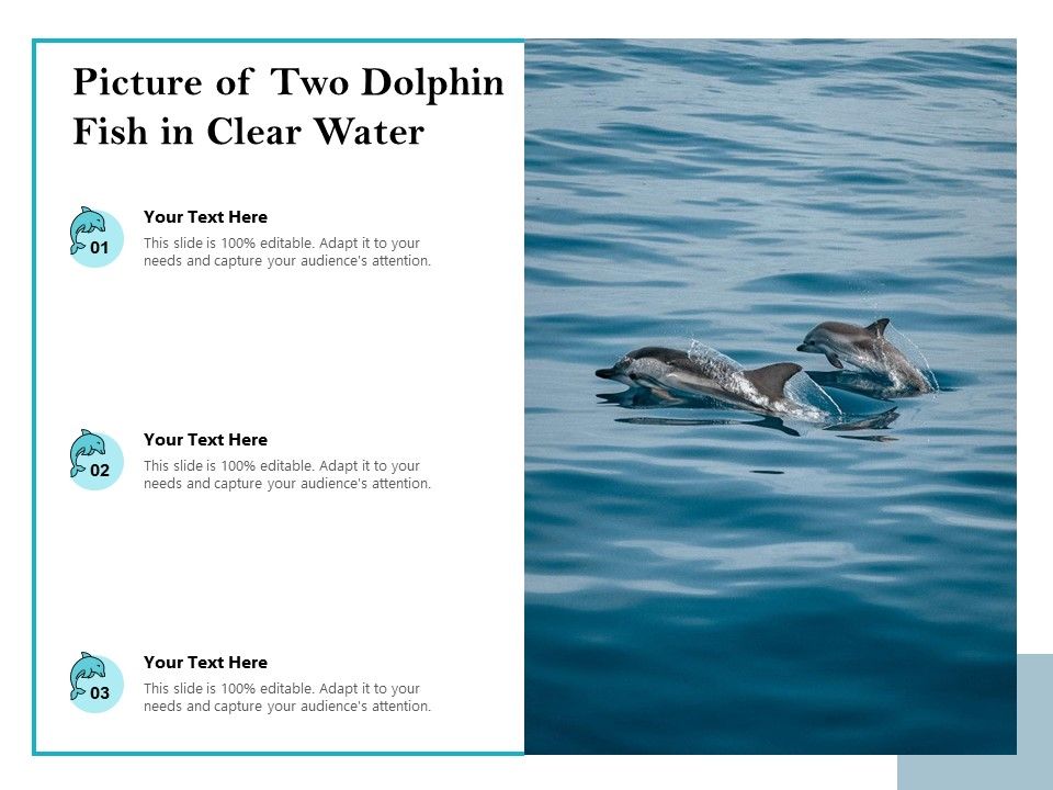 Picture_Of_Two_Dolphin_Fish_In_Clear_Water_Ppt_PowerPoint_Presentation_File_Graphic_Images_PDF_Slide_1.jpg