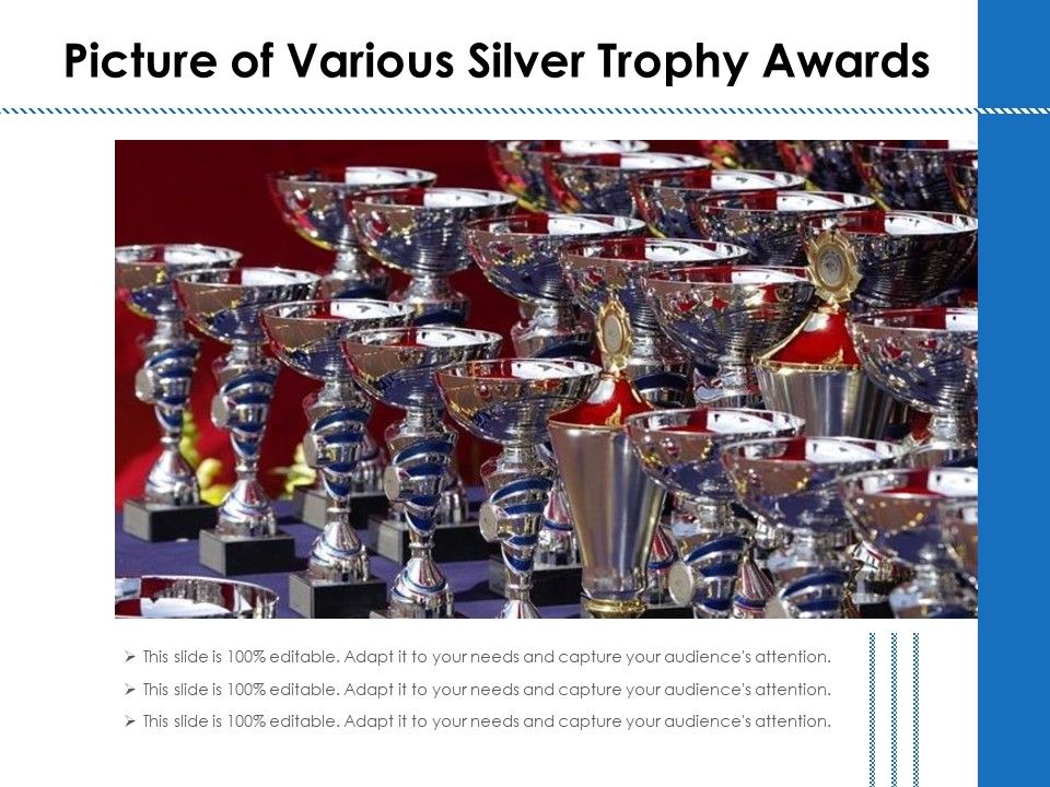 Picture_Of_Various_Silver_Trophy_Awards_Ppt_PowerPoint_Presentation_Gallery_Professional_PDF_Slide_1.jpg
