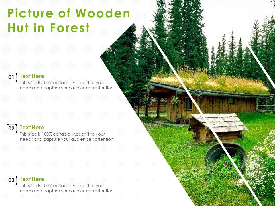 Picture_Of_Wooden_Hut_In_Forest_Ppt_PowerPoint_Presentation_Outline_Templates_PDF_Slide_1.jpg