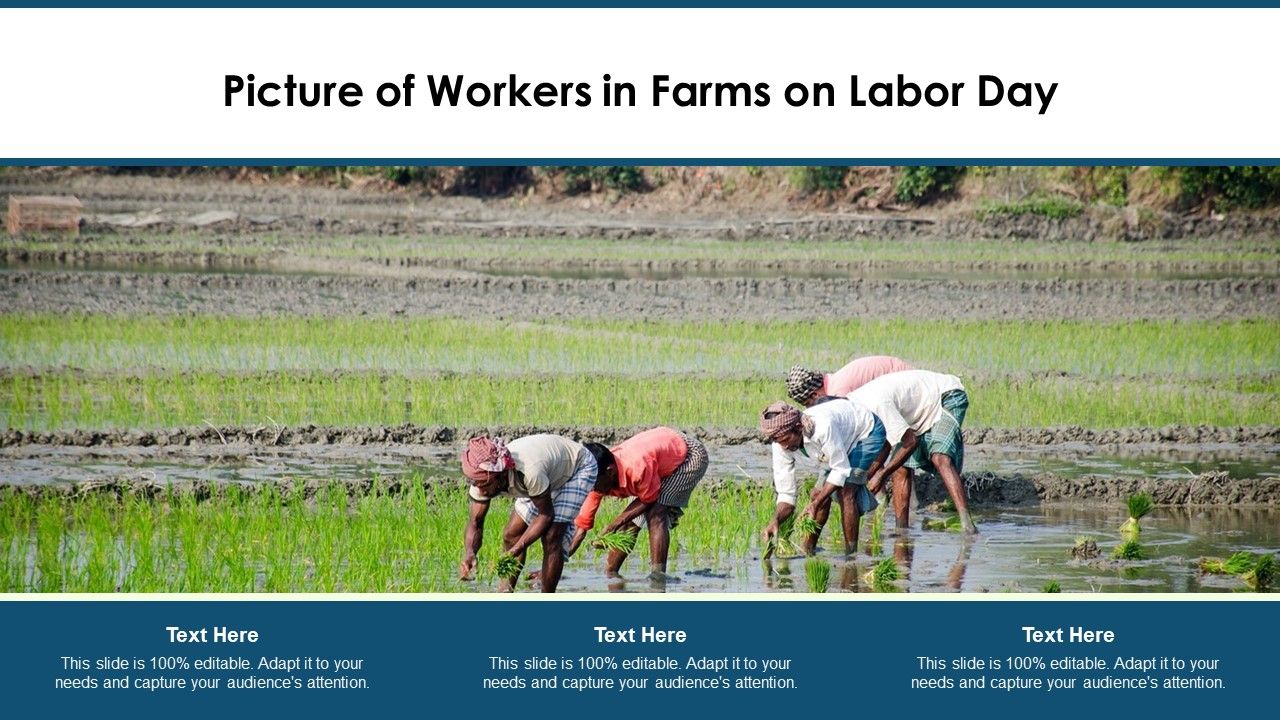 Picture_Of_Workers_In_Farms_On_Labor_Day_Ppt_PowerPoint_Presentation_File_Microsoft_PDF_Slide_1.jpg