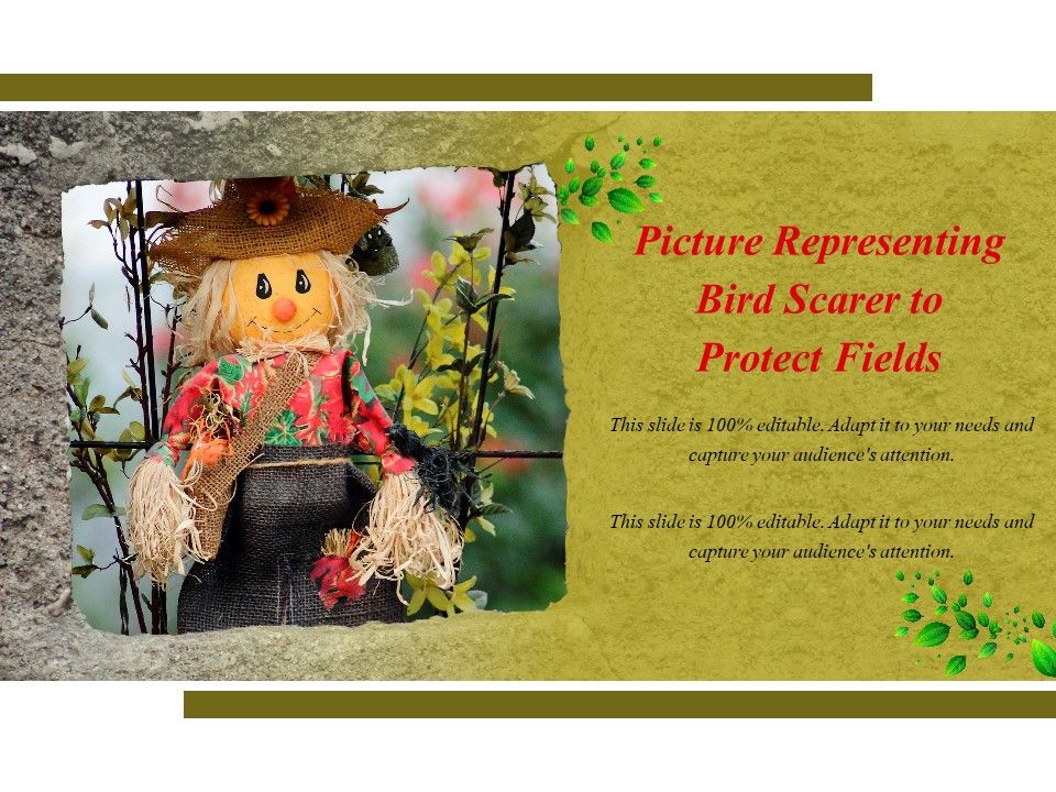Picture_Representing_Bird_Scarer_To_Protect_Fields_Ppt_PowerPoint_Presentation_Visual_Aids_Gallery_PDF_Slide_1.jpg