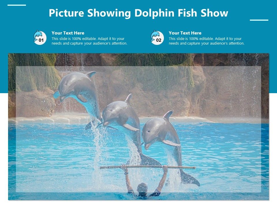 Picture_Showing_Dolphin_Fish_Show_Ppt_PowerPoint_Presentation_File_Slideshow_PDF_Slide_1.jpg