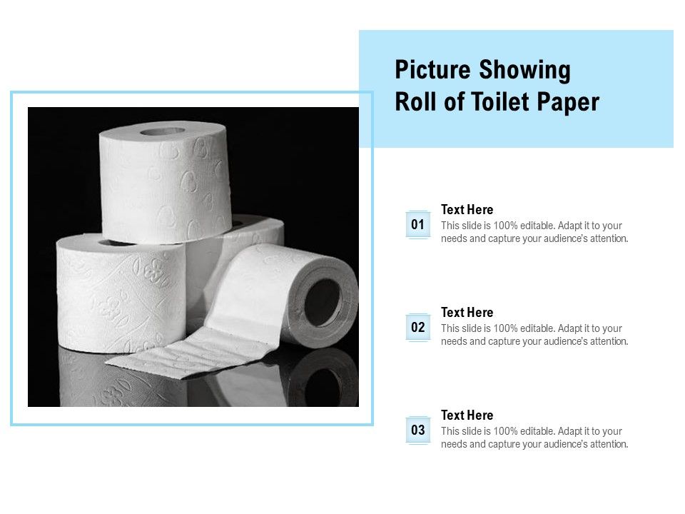 Picture_Showing_Roll_Of_Toilet_Paper_Ppt_PowerPoint_Presentation_Outline_Portrait_PDF_Slide_1.jpg
