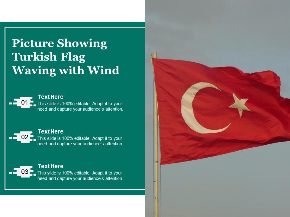Picture_Showing_Turkish_Flag_Waving_With_Wind_Ppt_PowerPoint_Presentation_File_Portfolio_PDF_Slide_1.jpg