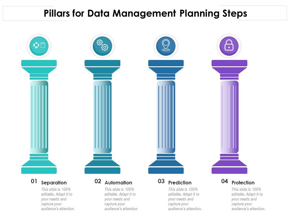 Pillars_For_Data_Management_Planning_Steps_Ppt_PowerPoint_Presentation_Gallery_Graphics_Download_PDF_Slide_1.jpg