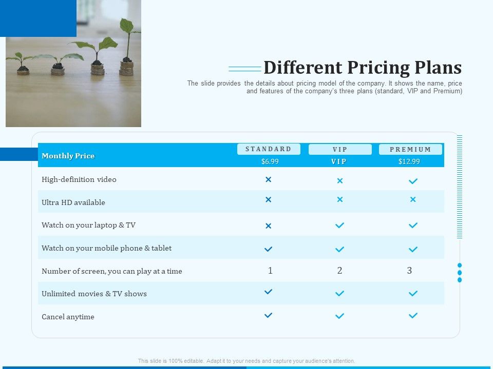 Pitch_Deck_For_Seed_Financing_Different_Pricing_Plans_Demonstration_PDF_Slide_1.jpg