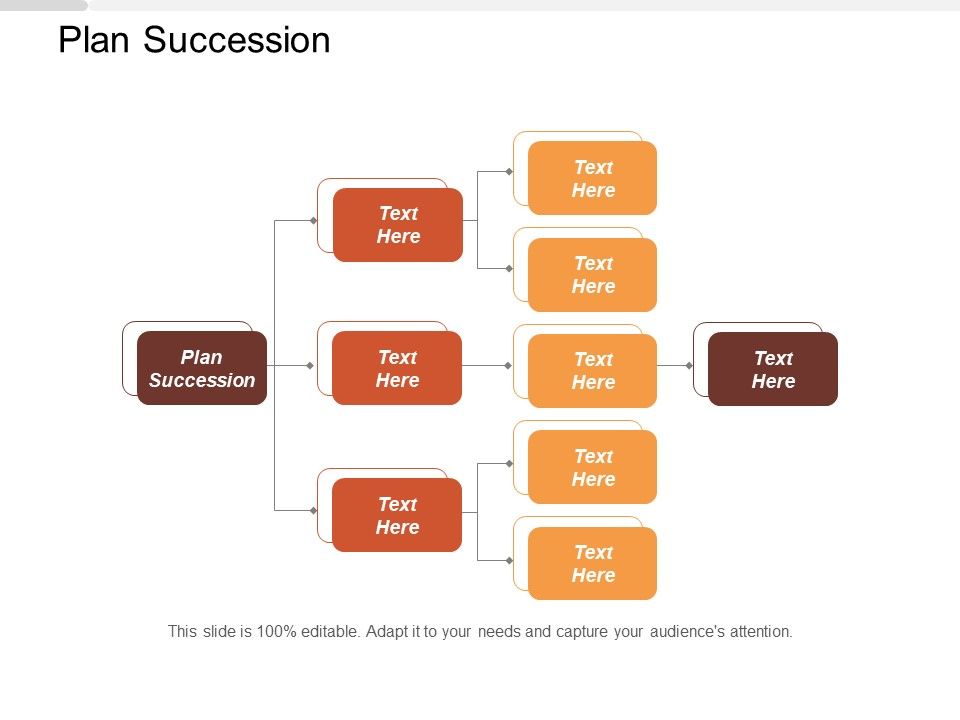 Plan_Succession_Ppt_PowerPoint_Presentation_Show_Example_Slide_1.jpg