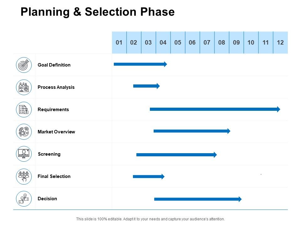 Planning_And_Selection_Phase_Ppt_PowerPoint_Presentation_Portfolio_Visual_Aids_Slide_1.jpg