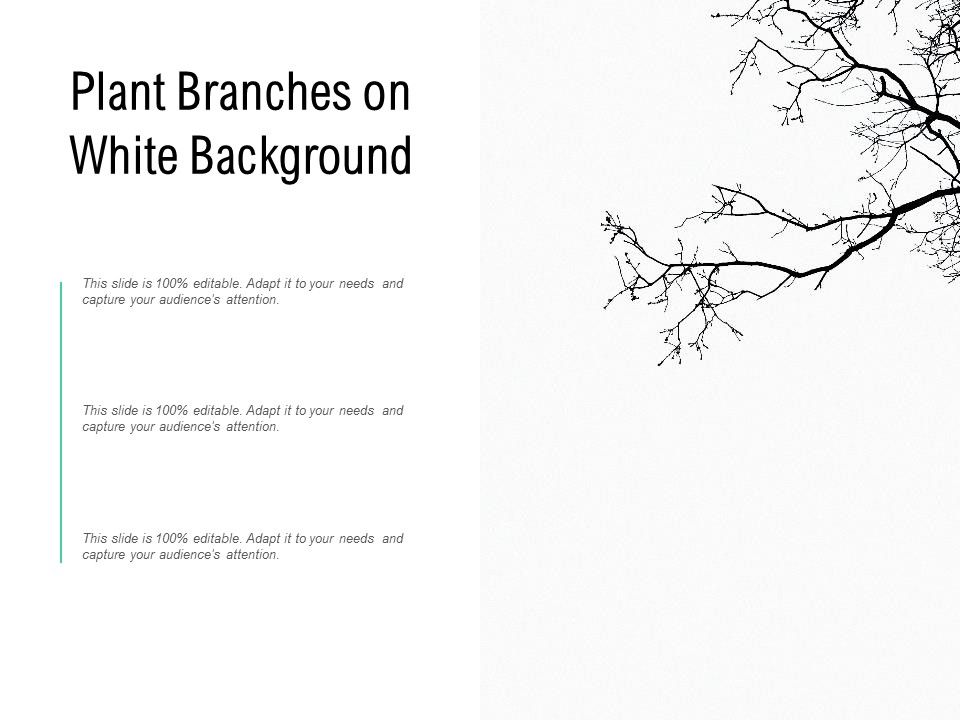 Plant_Branches_On_White_Background_Ppt_PowerPoint_Presentation_Portfolio_Graphics_Pictures_Slide_1.jpg