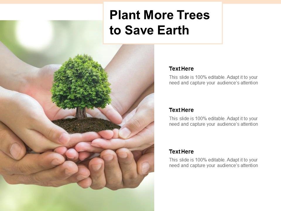 Plant_More_Trees_To_Save_Earth_Ppt_PowerPoint_Presentation_Model_Sample_Slide_1.jpg