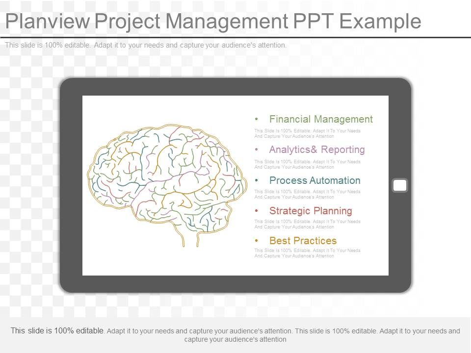 Planview_Project_Management_Ppt_Example_1.jpg