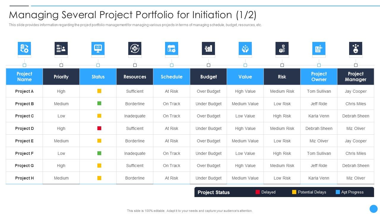 Playbook_For_Project_Product_Administration_Managing_Several_Project_Portfolio_For_Initiation_Wd_Portrait_PDF_Slide_1.jpg