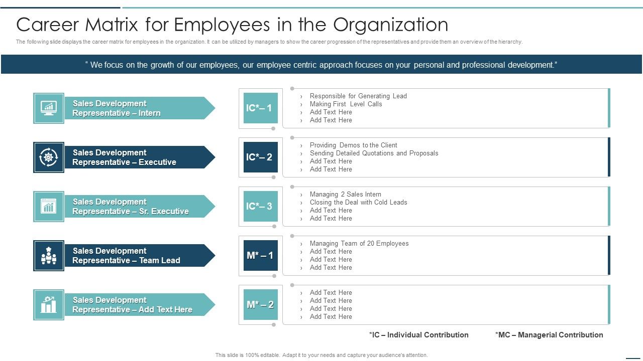Playbook_For_Sales_Development_Executives_Career_Matrix_For_Employees_In_The_Organization_Graphics_PDF_Slide_1.jpg