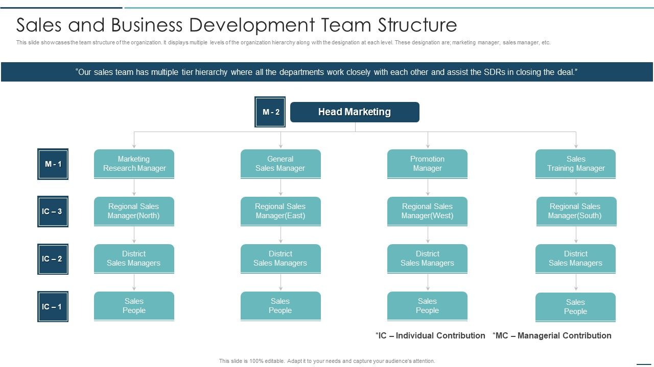 Playbook_For_Sales_Development_Executives_Sales_And_Business_Development_Team_Structure_Themes_PDF_Slide_1.jpg
