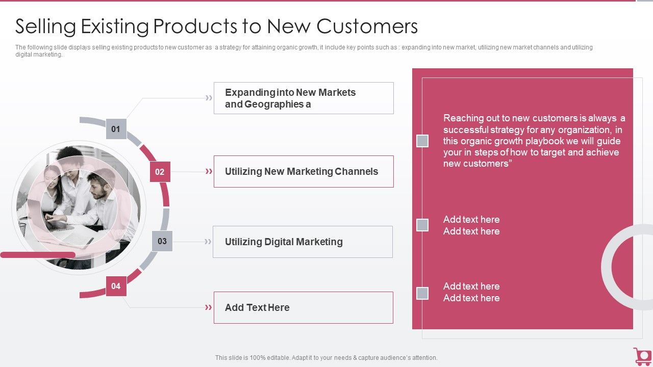 Playbook_For_Sales_Growth_Strategies_Selling_Existing_Products_To_New_Customers_Designs_PDF_Slide_1.jpg