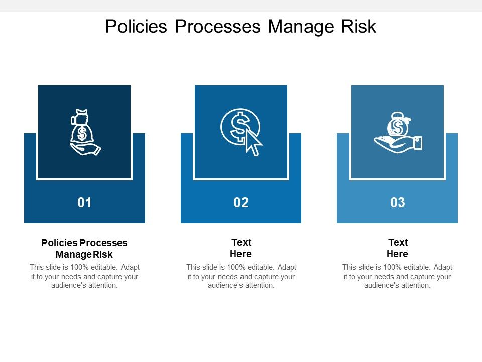 Policies_Processes_Manage_Risk_Ppt_PowerPoint_Presentation_Styles_Show_Cpb_Slide_1.jpg