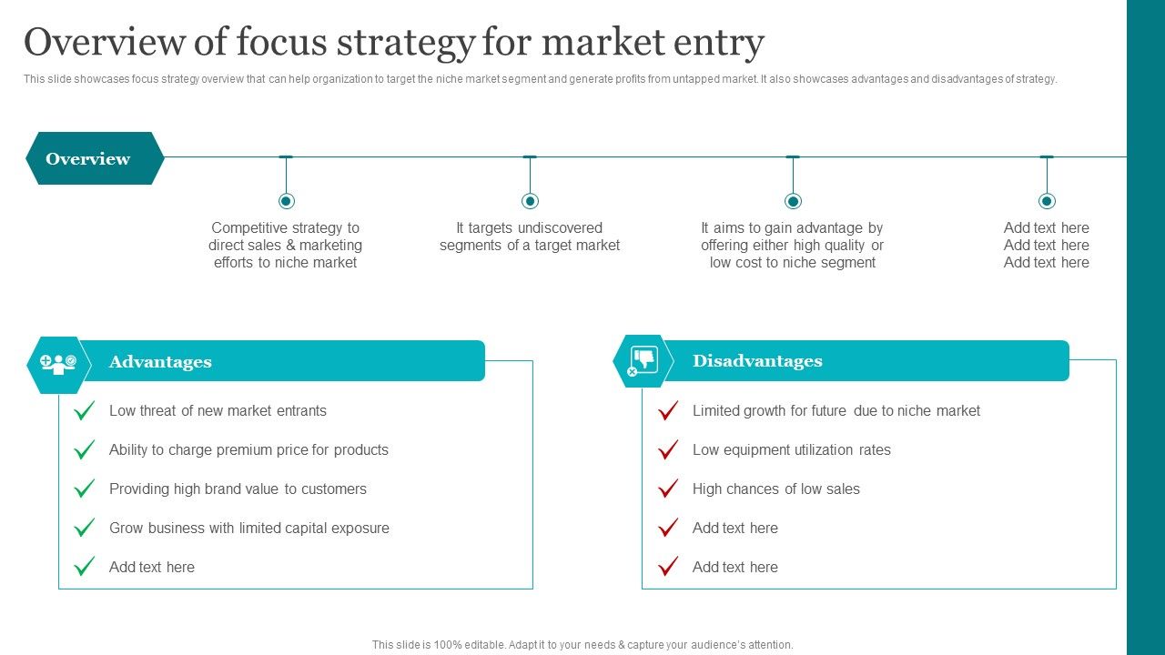 Porters_Strategies_For_Targeted_Client_Segment_Overview_Of_Focus_Strategy_For_Market_Entry_Elements_PDF_Slide_1.jpg