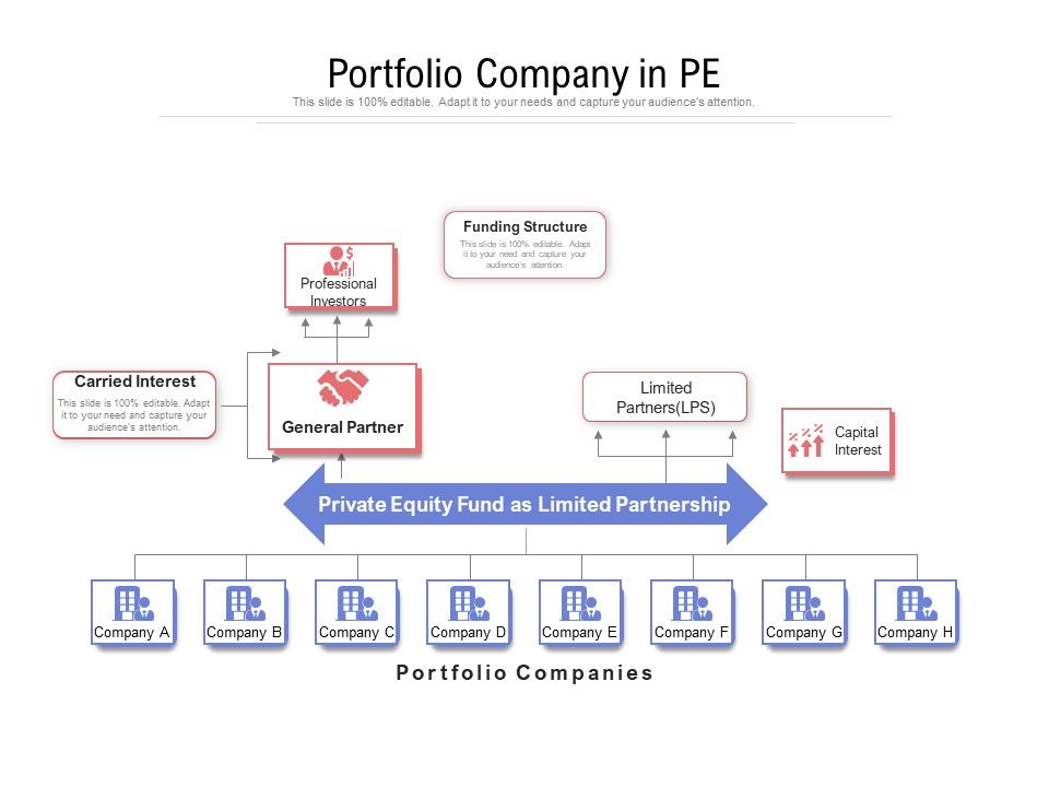 Portfolio_Company_In_PE_Ppt_PowerPoint_Presentation_Summary_Graphics_PDF_Slide_1.jpg