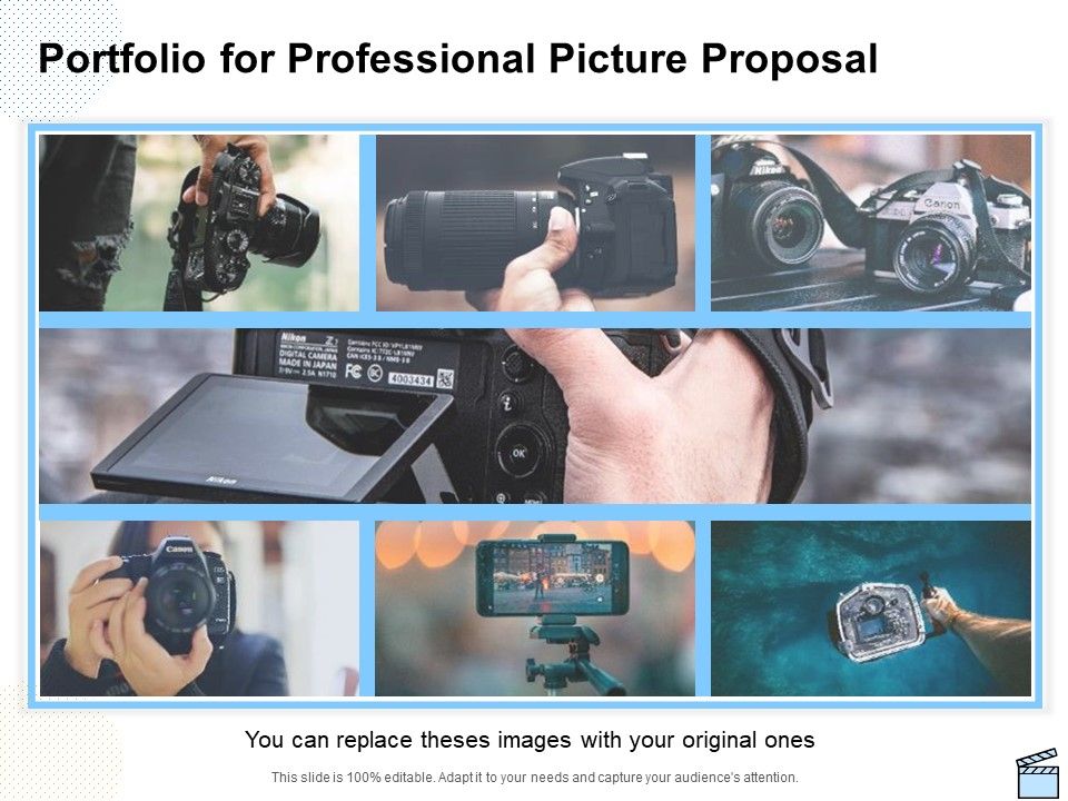 Portfolio_For_Professional_Picture_Proposal_Ppt_Infographics_Visuals_PDF_Slide_1.jpg
