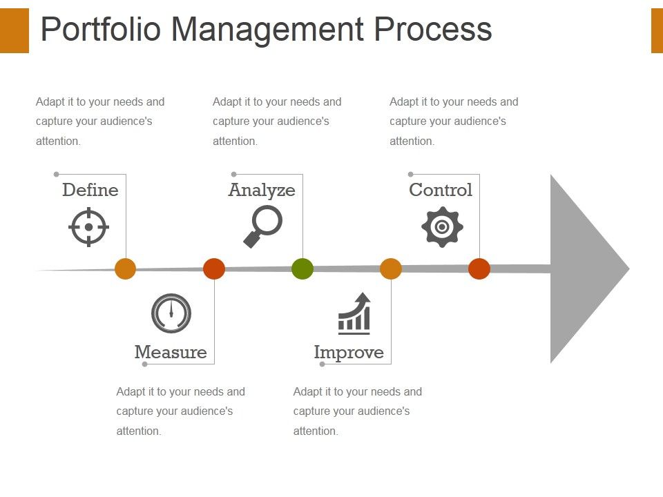 Portfolio_Management_Process_Ppt_PowerPoint_Presentation_Show_Designs_Slide_1.jpg