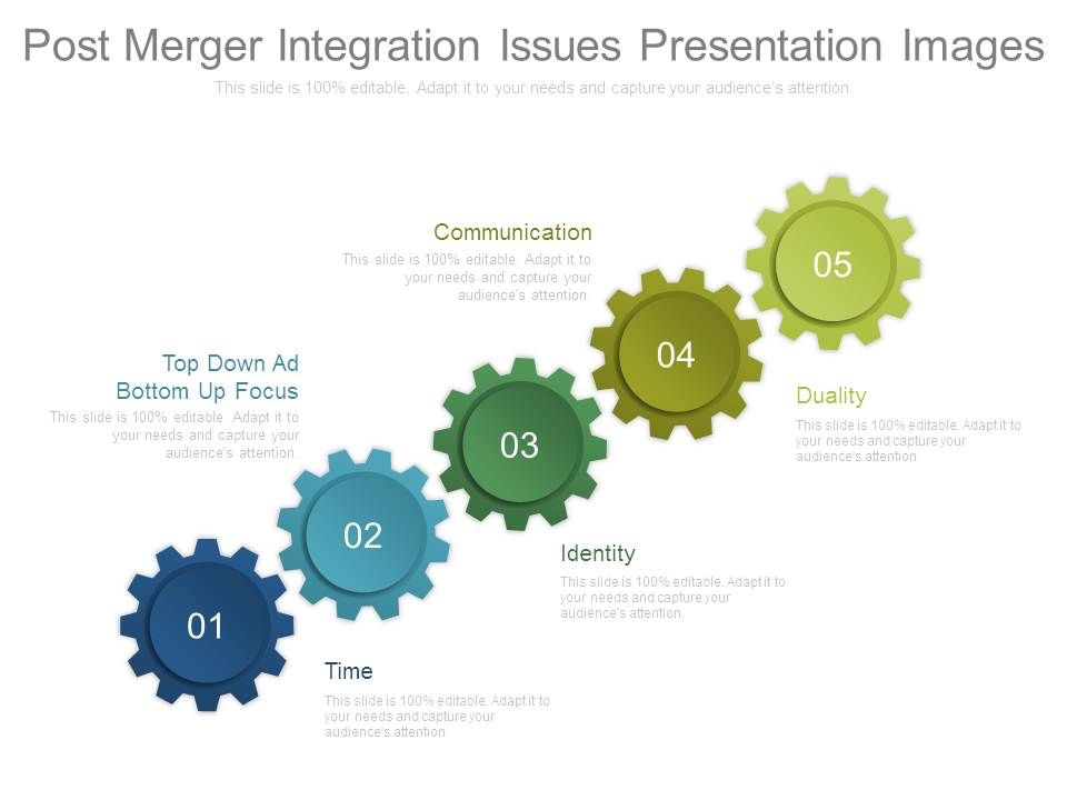 Post_Merger_Integration_Issues_Presentation_Images_1.jpg