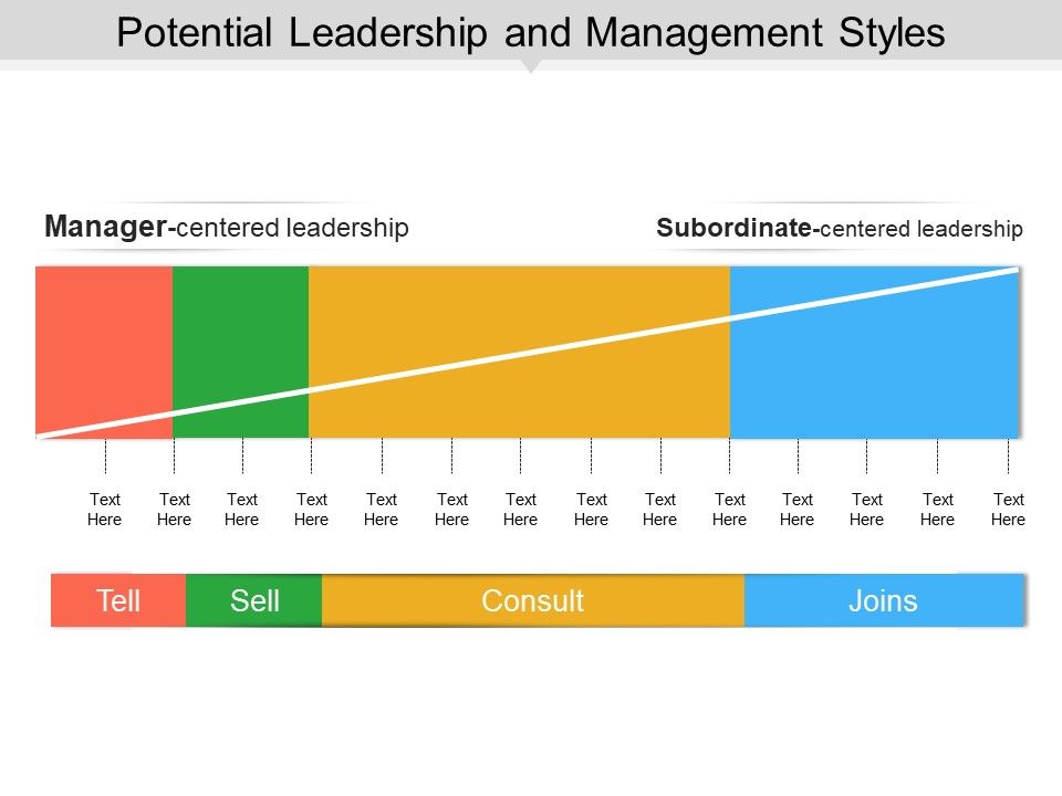 Potential_Leadership_And_Management_Styles_Ppt_PowerPoint_Presentation_File_Microsoft_Slide_1.jpg
