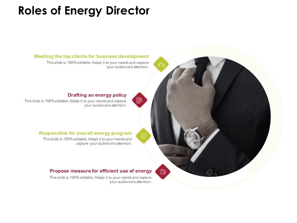 Power_Management_System_And_Technology_Roles_Of_Energy_Director_Ppt_PowerPoint_Presentation_Portfolio_Layout_PDF_Slide_1.jpg