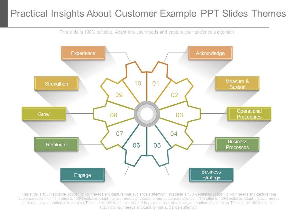 Practical_Insights_About_Customer_Example_Ppt_Slides_Themes_1.jpg