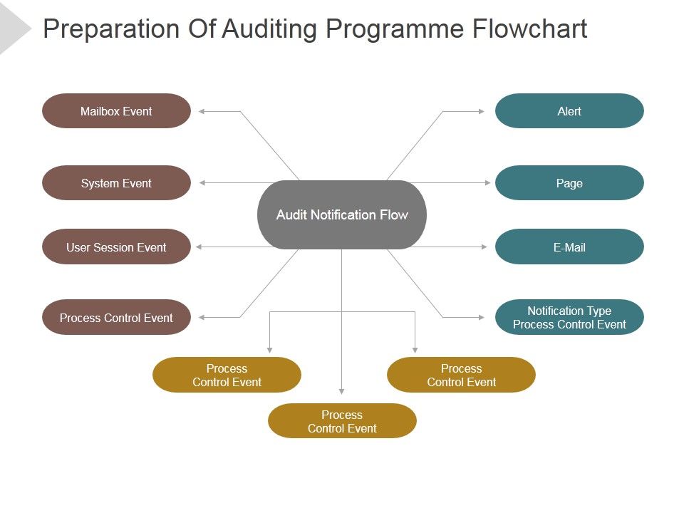 Preparation_Of_Auditing_Programme_Flowchart_Ppt_PowerPoint_Presentation_Picture_Slide_1.jpg