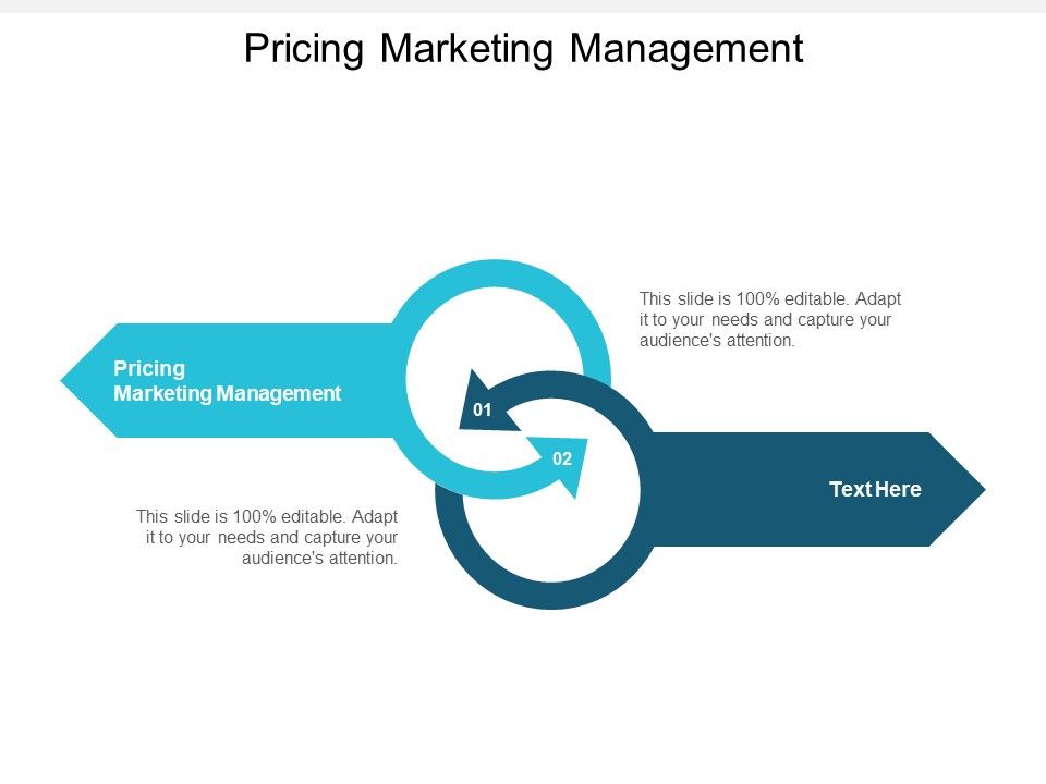 Pricing_Marketing_Management_Ppt_PowerPoint_Presentation_Model_Graphics_Tutorials_Cpb_Slide_1.jpg