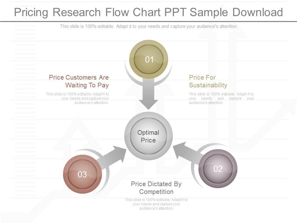 Pricing_Research_Flow_Chart_Ppt_Sample_Download_1.jpg