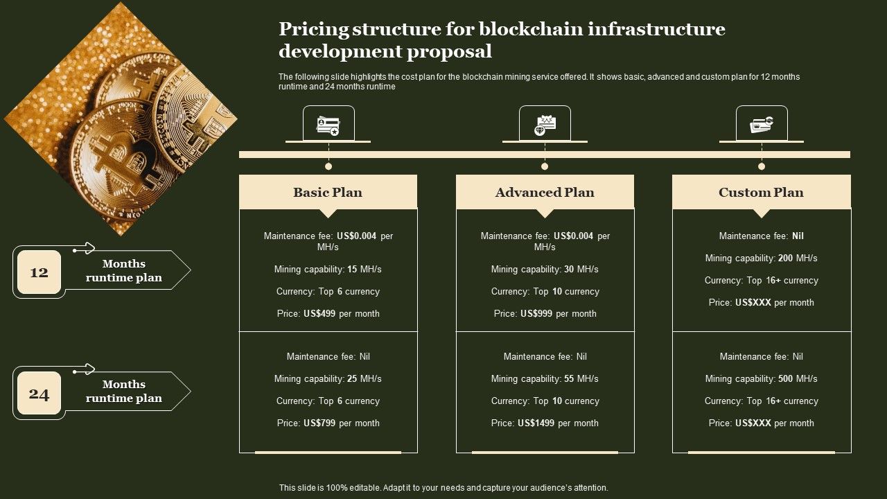 Pricing_Structure_For_Blockchain_Infrastructure_Development_Proposal_Portrait_PDF_Slide_1.jpg