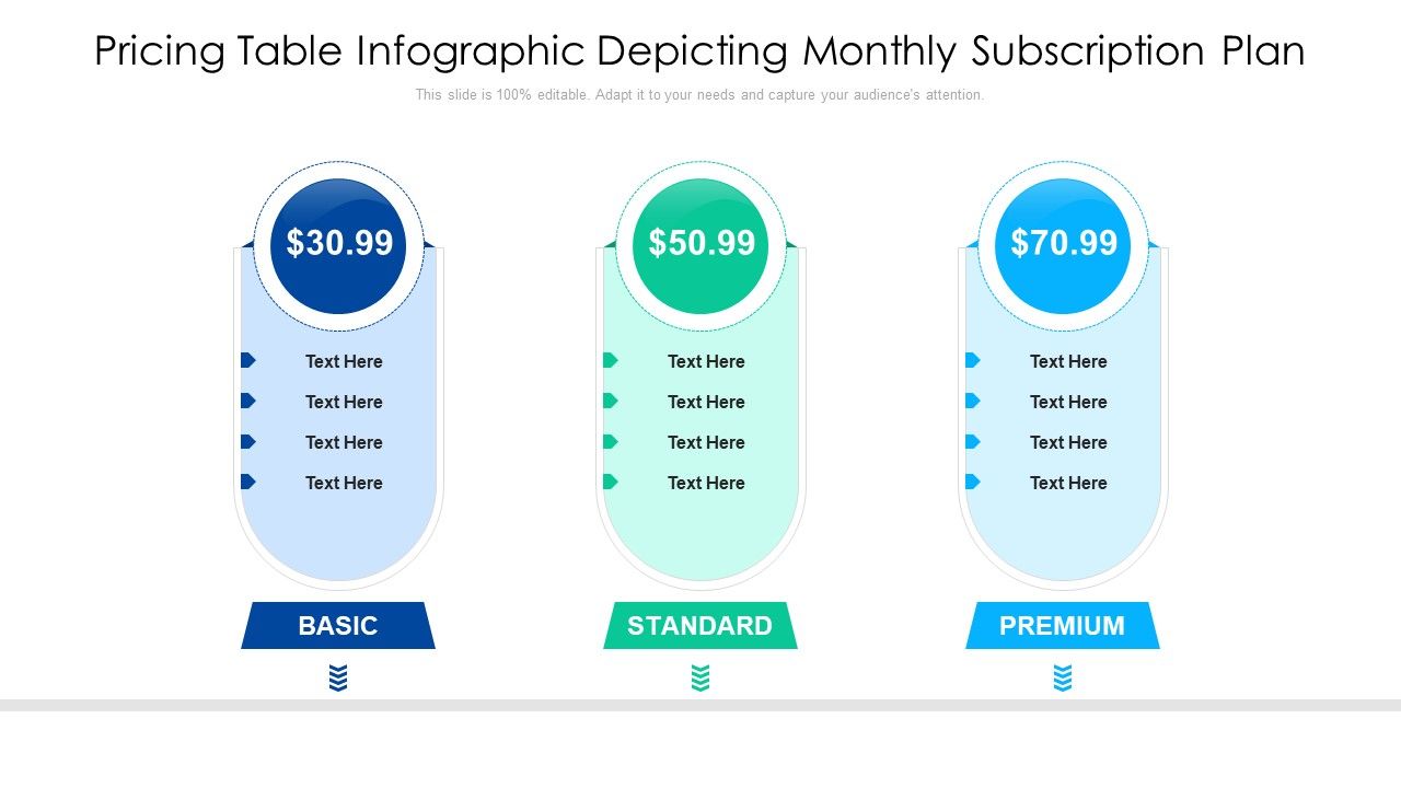 Pricing_Table_Infographic_Depicting_Monthly_Subscription_Plan_Portrait_PDF_Slide_1.jpg