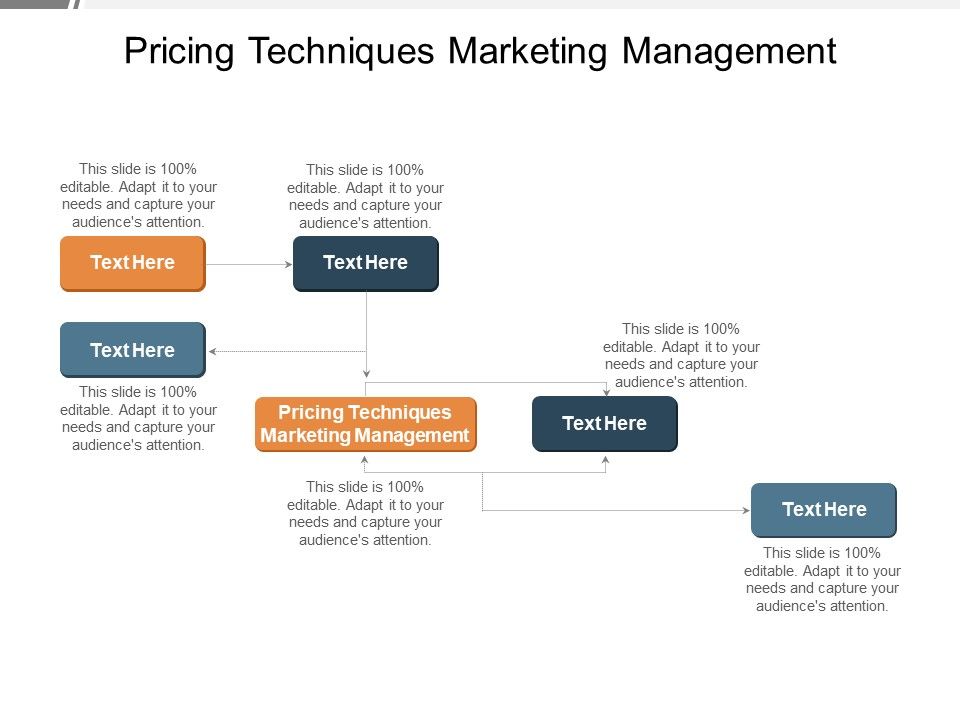 Pricing_Techniques_Marketing_Management_Ppt_PowerPoint_Presentation_Layouts_Slide_Cpb_Pdf_Slide_1.jpg