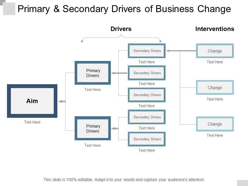 Primary_And_Secondary_Drivers_Of_Business_Change_Ppt_PowerPoint_Presentation_Summary_Sample_Slide_1.jpg