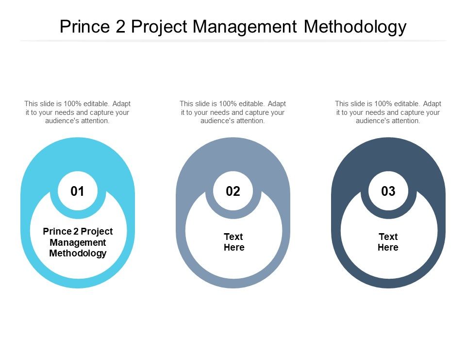 Prince_2_Project_Management_Methodology_Ppt_PowerPoint_Presentation_Layouts_Tips_Cpb_Pdf_Slide_1.jpg