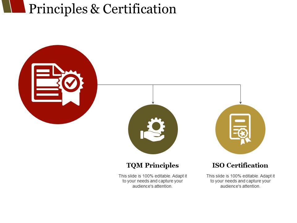 Principles_And_Certification_Ppt_PowerPoint_Presentation_File_Samples_Slide_1.jpg