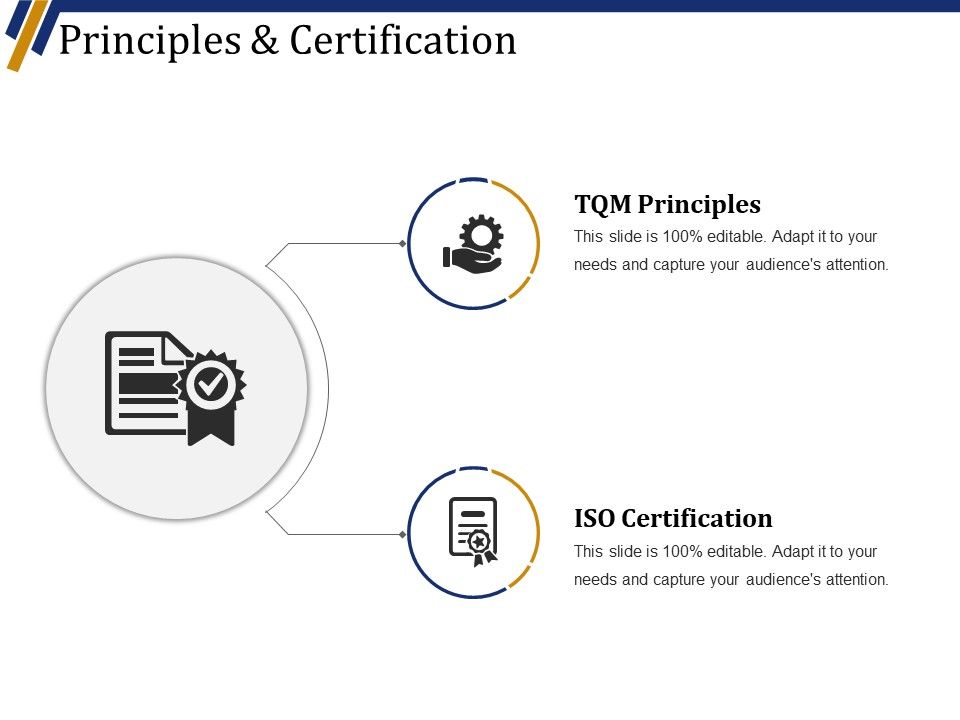 Principles_And_Certification_Ppt_PowerPoint_Presentation_Model_Picture_Slide_1.jpg