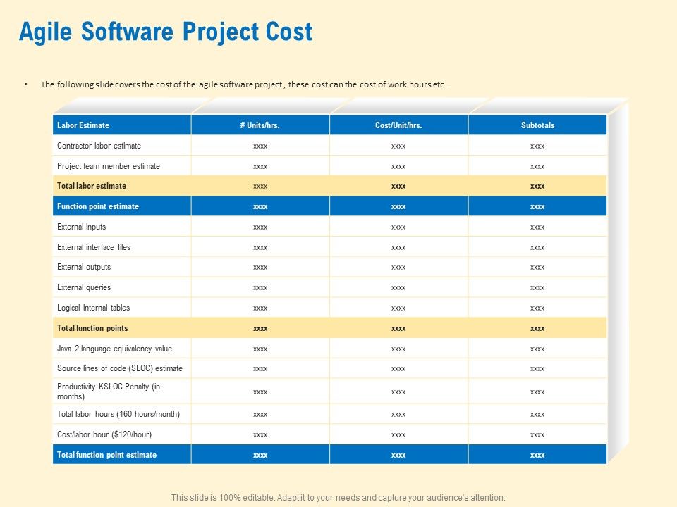 Prioritization_Techniques_For_Software_Development_And_Testing_Agile_Software_Project_Cost_Clipart_PDF_Slide_1.jpg