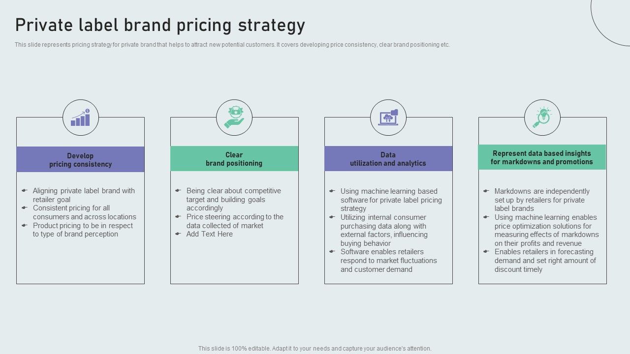 Private_Label_Brand_Pricing_Strategy_Techniques_To_Build_Private_Label_Brand_Themes_PDF_Slide_1.jpg