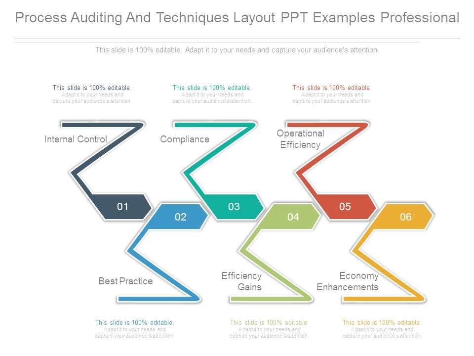 Process_Auditing_And_Techniques_Layout_Ppt_Examples_Professional_1.jpg