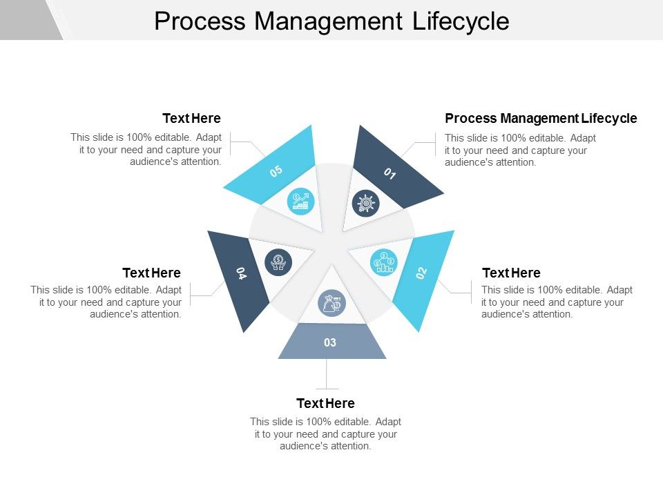 Process_Management_Lifecycle_Ppt_PowerPoint_Presentation_Inspiration_Infographic_Template_Cpb_Slide_1.jpg