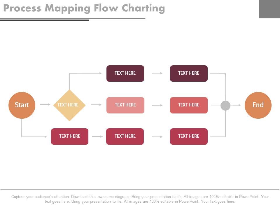 Process_Mapping_Flow_Charting_Ppt_Slides_1.jpg