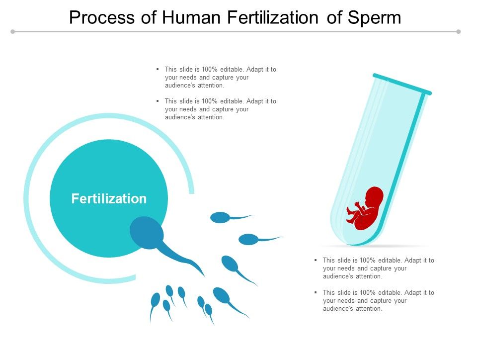 Process_Of_Human_Fertilization_Of_Sperm_Ppt_PowerPoint_Presentation_Styles_Inspiration_Slide_1.jpg