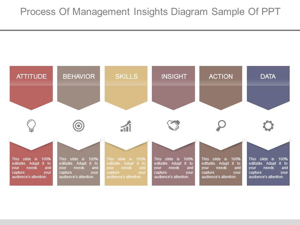Process_Of_Management_Insights_Diagram_Sample_Of_Ppt_1.jpg