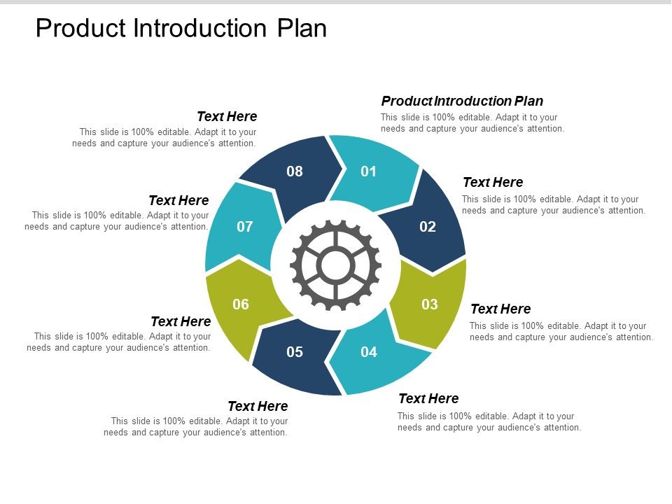 Product_Introduction_Plan_Ppt_PowerPoint_Presentation_Inspiration_Graphics_Design_Cpb_Slide_1.jpg